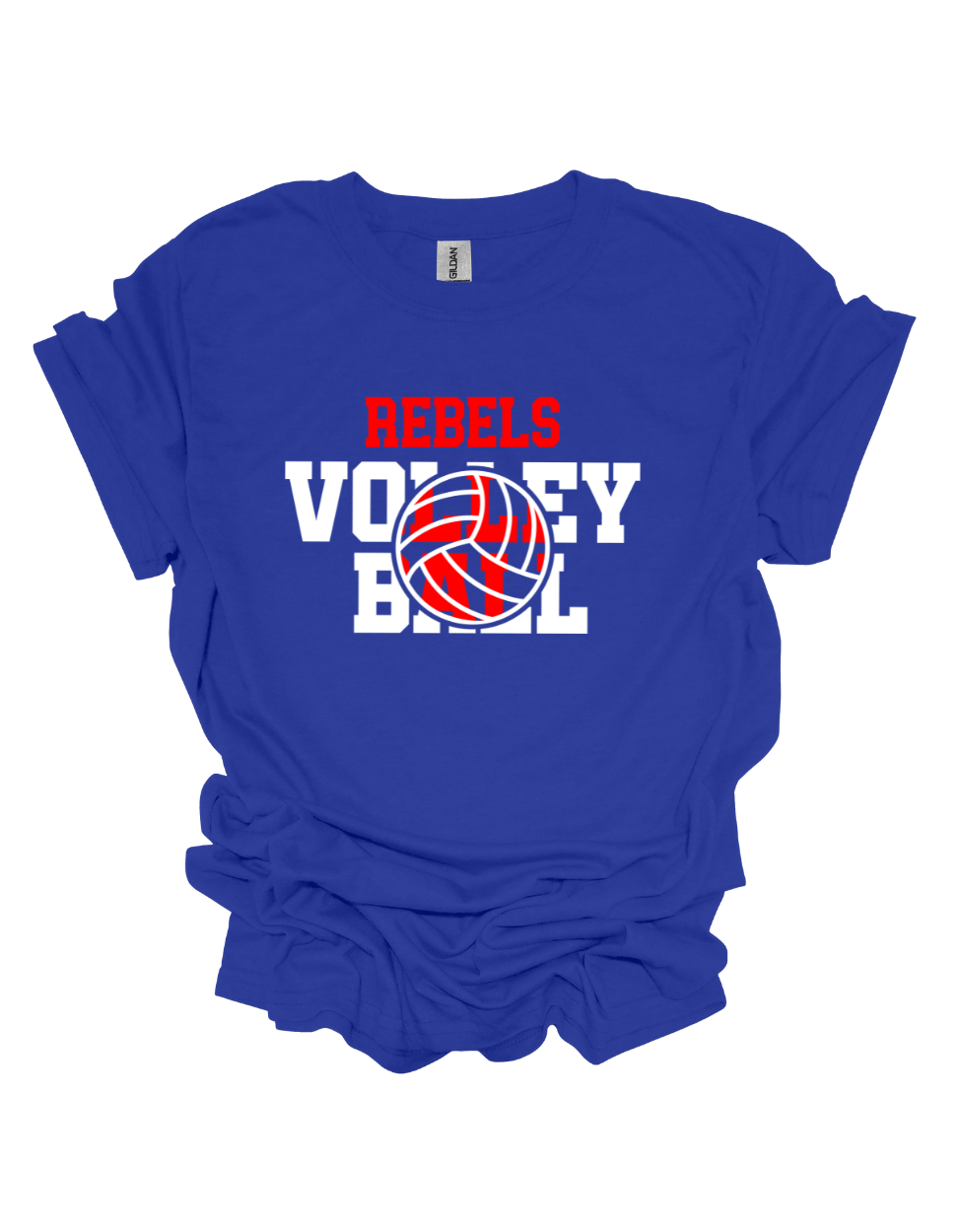 Volleyball Option 8
