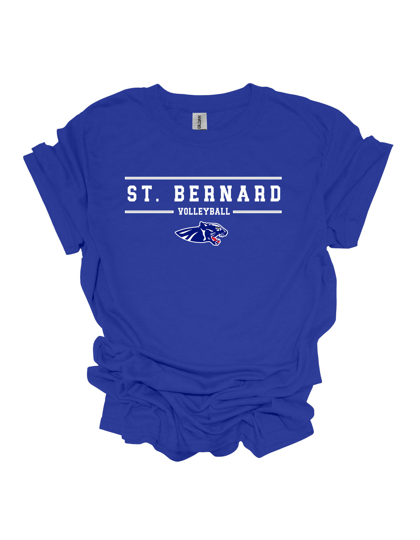 Official Panther Volleyball Team Logo Top