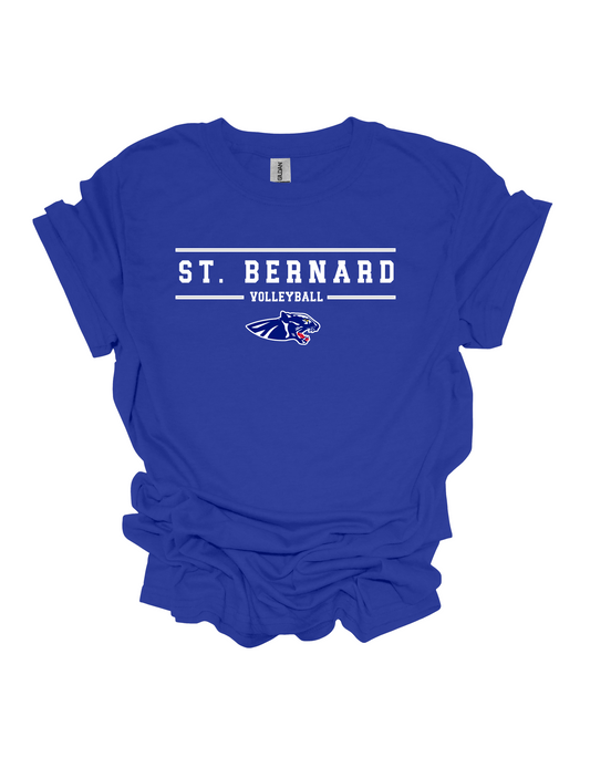 Official Panther Volleyball Team Logo Top