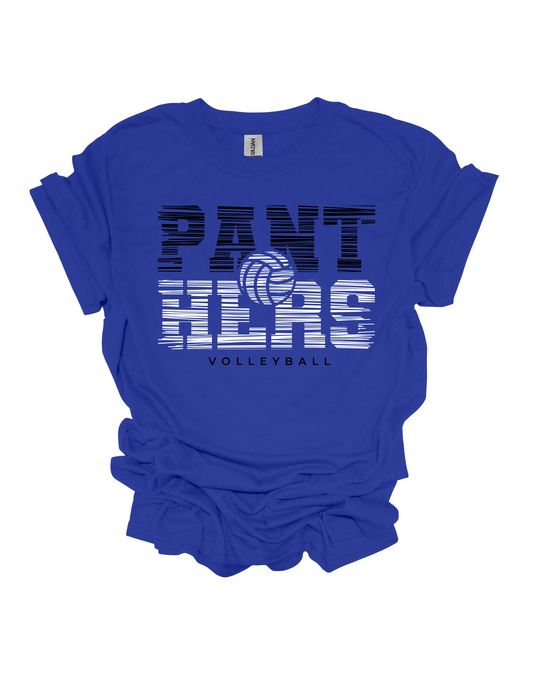 Panther Volleyball Option 2